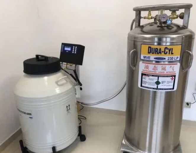 查特液氮罐 查特液氮罐