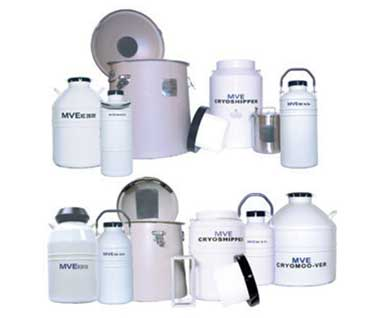 查特液氮罐 查特液氮罐