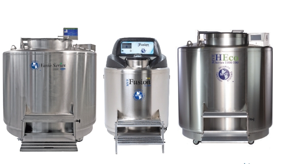 查特液氮罐 查特液氮罐