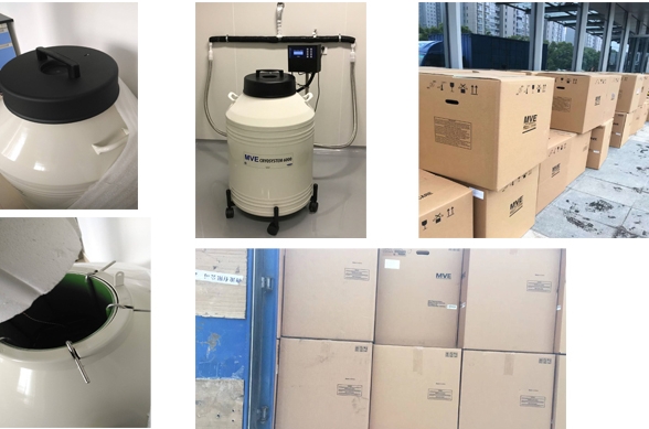 查特液氮罐 查特液氮罐