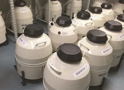 mve液氮罐 mve液氮罐