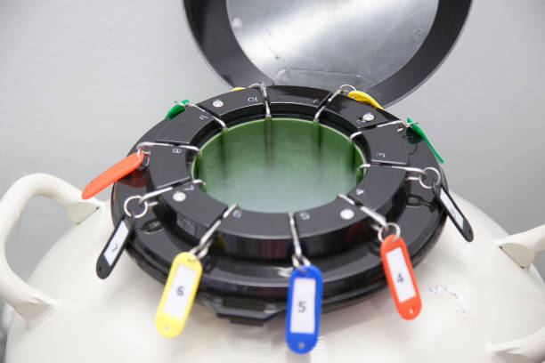 液氮罐50口徑 液氮罐50口徑