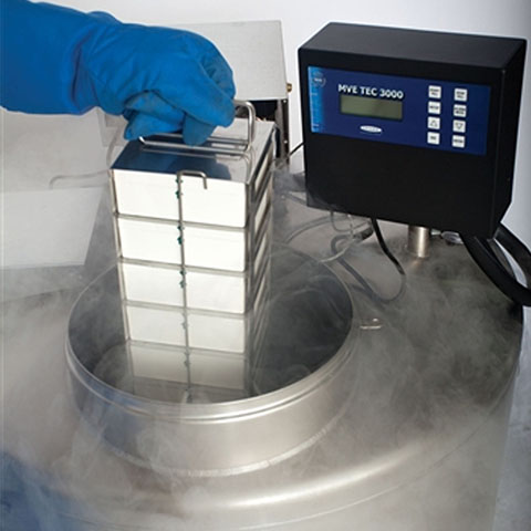 氣相液氮罐監(jiān)控系統(tǒng) 氣相液氮罐監(jiān)控系統(tǒng)