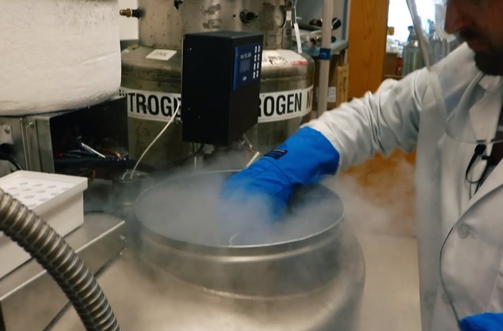 氣相儲(chǔ)存 氣相儲(chǔ)存